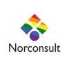 Norconsult logo