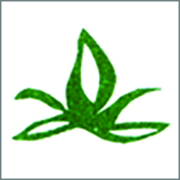 Opterra Solutions logo