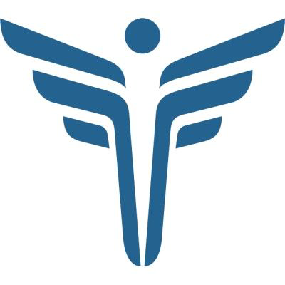 FEI Systems logo