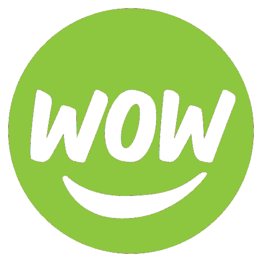 WOW 1 DAY PAINTING logo