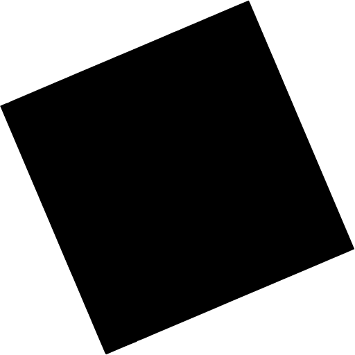 Fish & Richardson logo