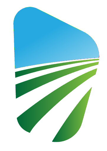 DreamFields Brand logo