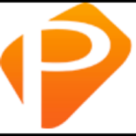 Petra Industries logo