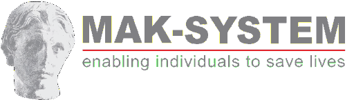 Mak-System International Group logo