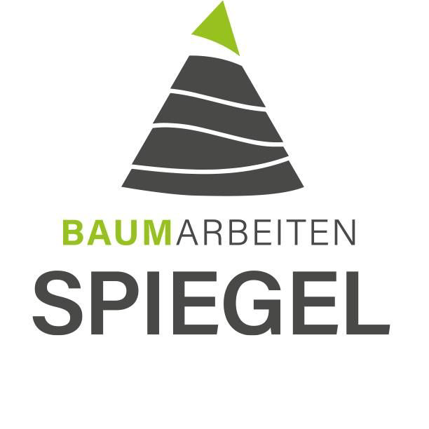 Baumarbeiten Spiegel logo