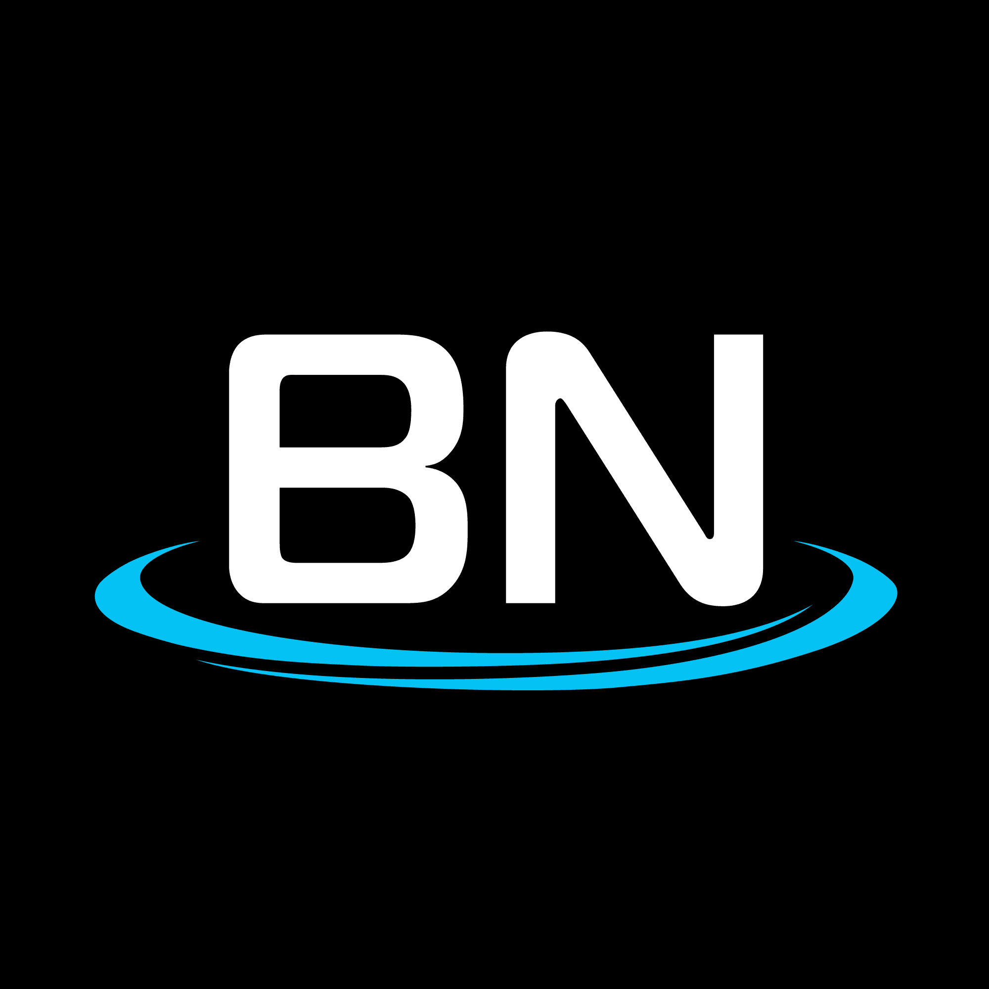 BayNova logo