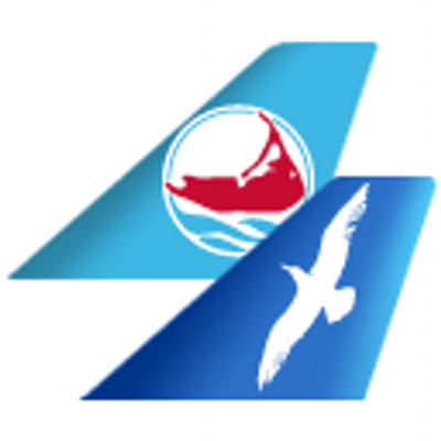 Cape Air logo