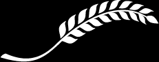 South Ogden Post logo