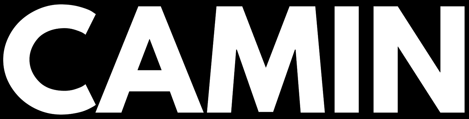 Camin Cargo Control logo
