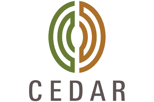 Cedar Management Consulting International logo