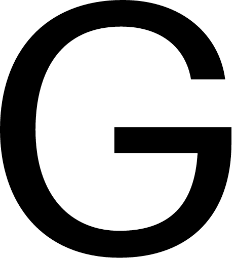 G20 logo