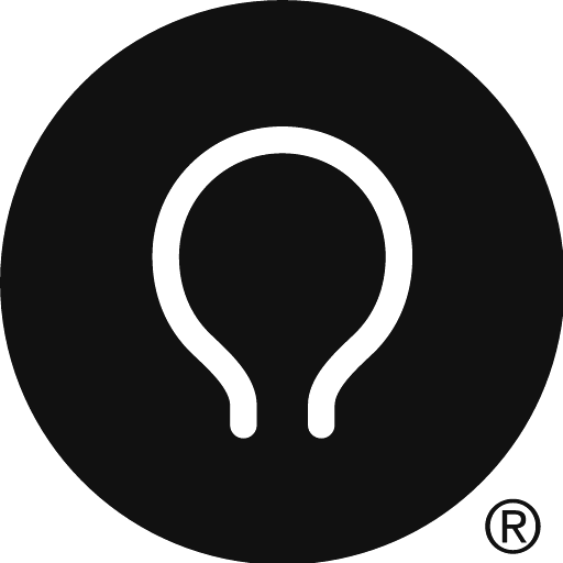 Solve Intelligence logo