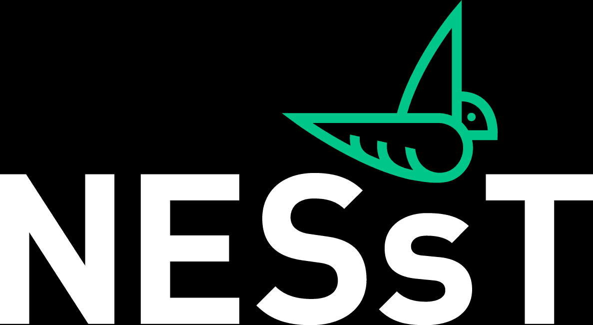 NESsT logo