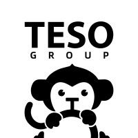TESO Group logo