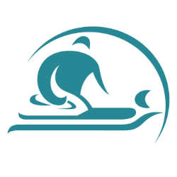 Downtown Physical Therapy & Rehab logo