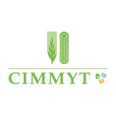 CIMMYT logo