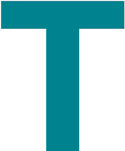 Terrestrial Energy logo