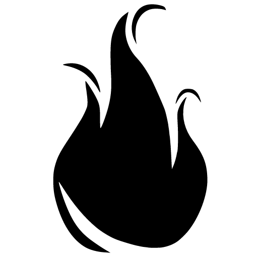 Academy Fire Life Safety logo
