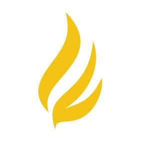 Larson Financial logo