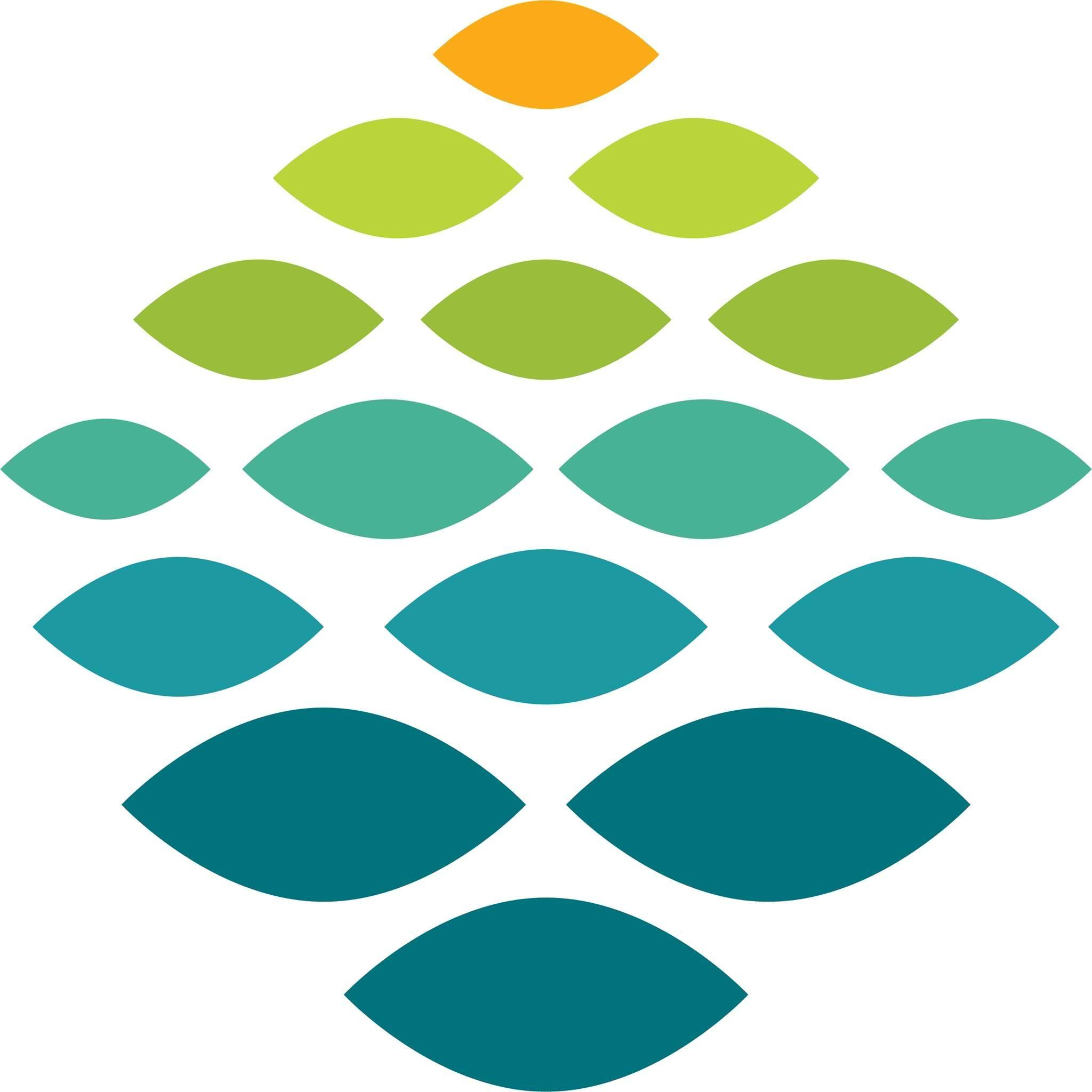 Northern Light Health logo