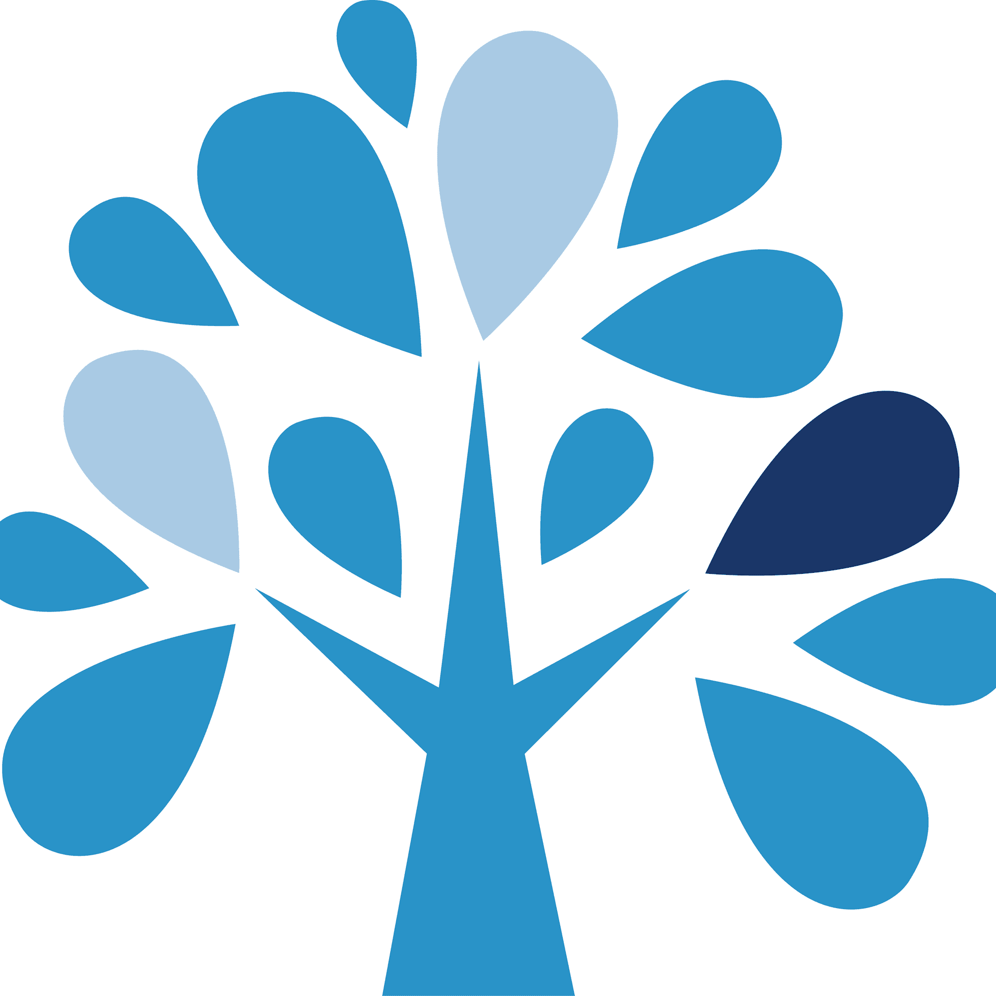 Brattleboro Memorial Hospital logo