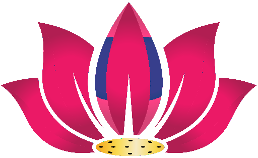 Vaachi Systems logo