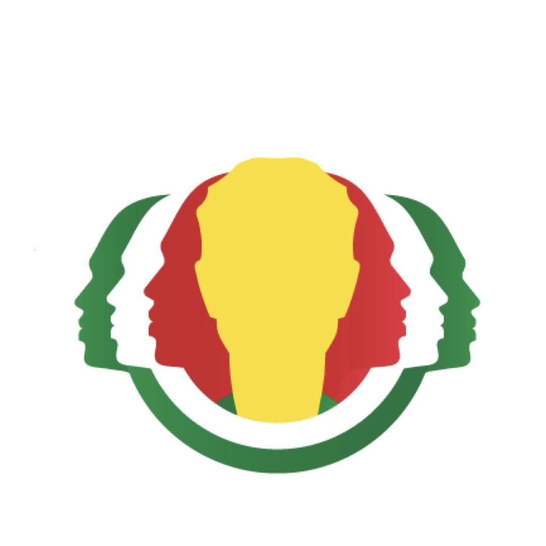 HCMS N.V logo