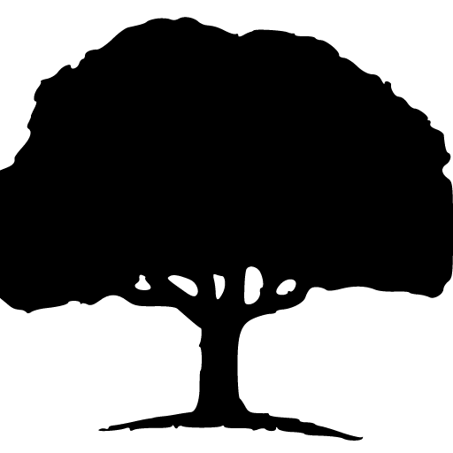 Palo Pinto General Hospital logo