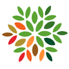 Cornerstone Solutions Group logo