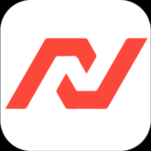 Nearshore Business Solutions logo