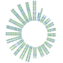 Soleno logo