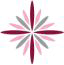 Advanced Nursing logo