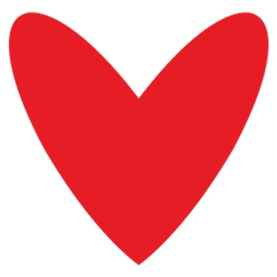 Seoul Spice logo