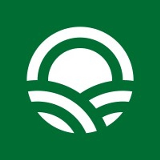 Seso logo