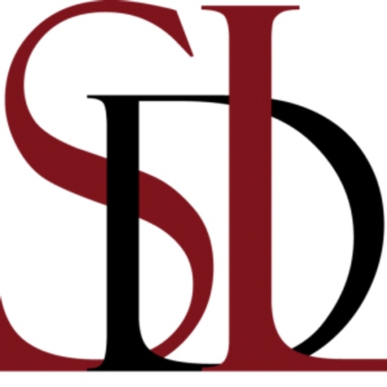 ShockinglyDifferentLeadership logo
