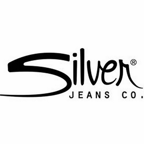 Silver Lake logo