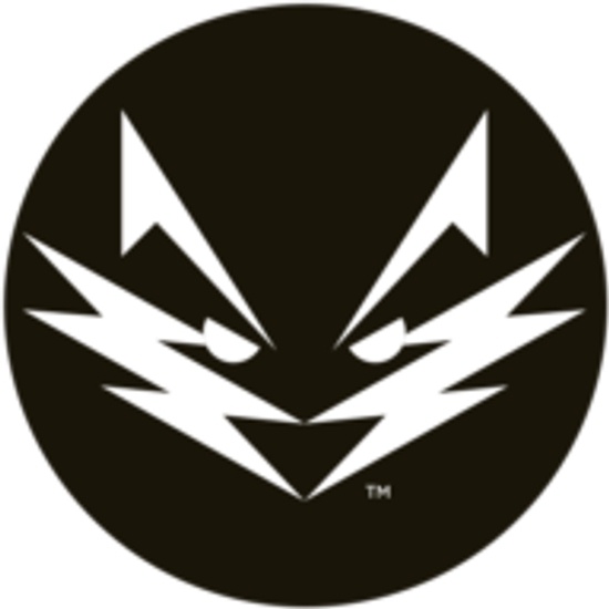 Silversky logo