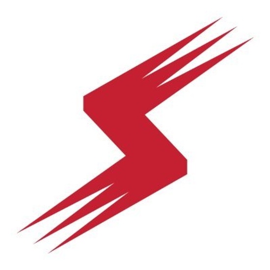 Stoneridge logo