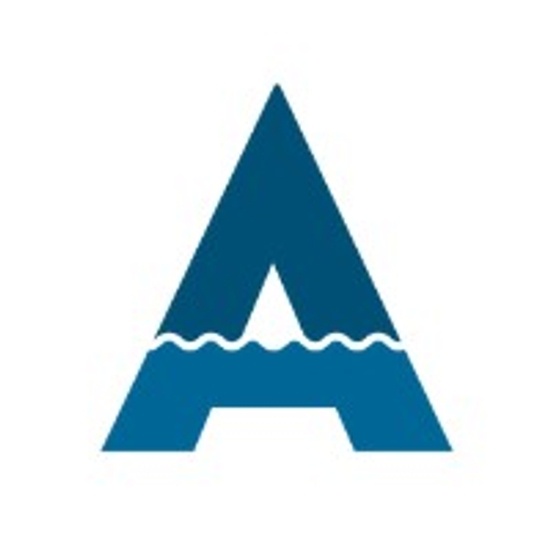 Successfactors.angelicoussisgroup logo