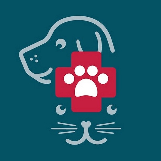 Tampa Bay Vets logo