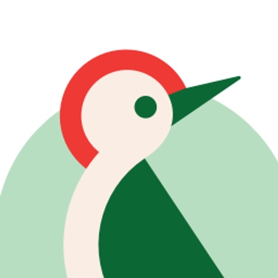 None logo