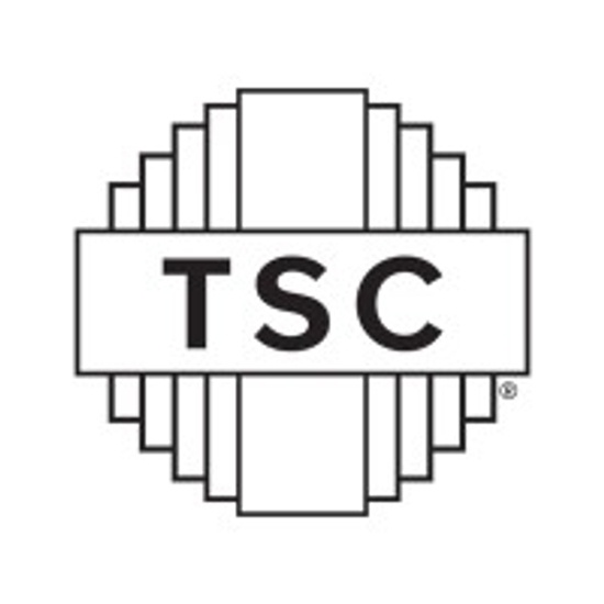 Technology Service logo