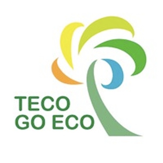 TECO-Westinghouse logo