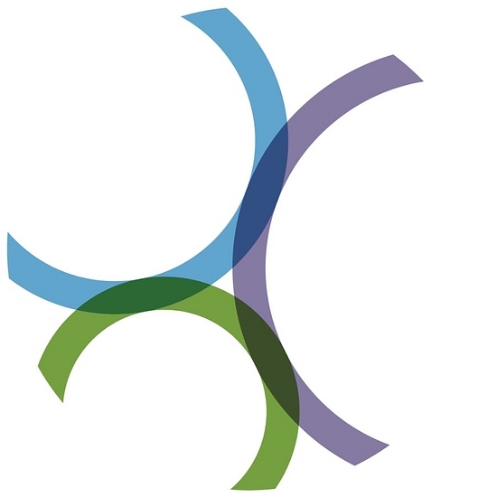 The Allen Institute logo