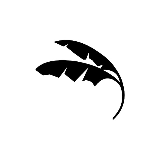 The Enterprise By IR logo