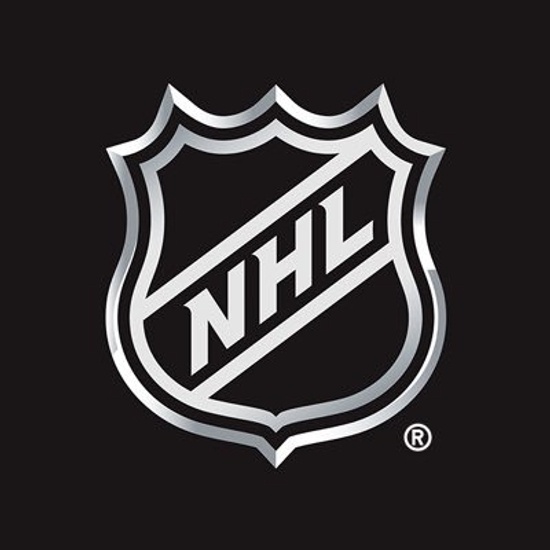 The Florida Panthers logo