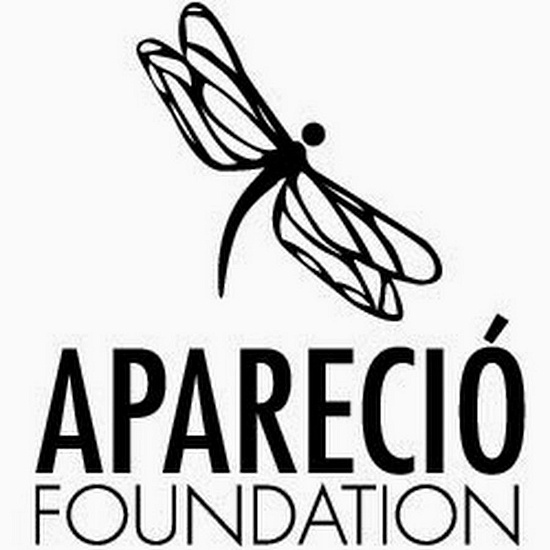 TheAparecioFoundationNFP logo