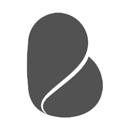 TheBurnetteAgency logo