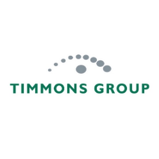 timmonsgroup1 logo