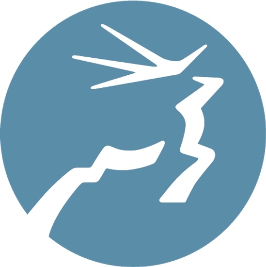 Unbridled logo